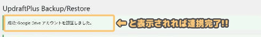 サイトに戻った直後の「成功: Google Drive アカウントを認証しました。」メッセージ